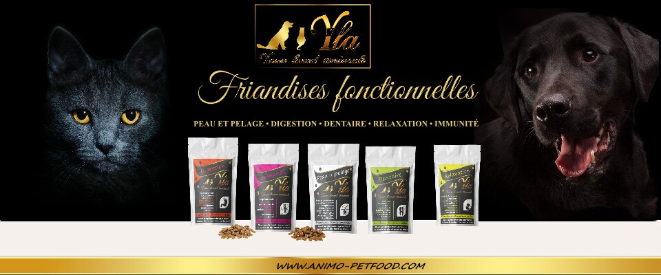 chien-chat-friandises-naturelles-sans-cereales-holistiques